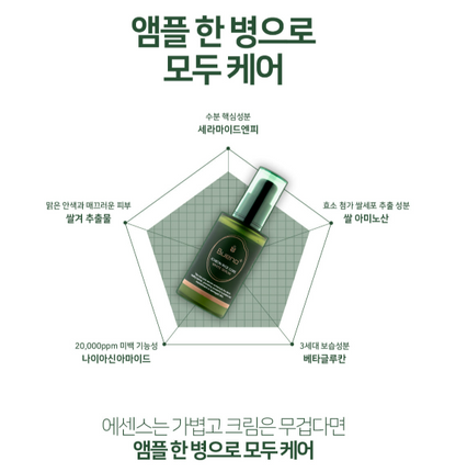 Icheon Rice Core White Serum 이천 쌀 코어 화이트 세럼
