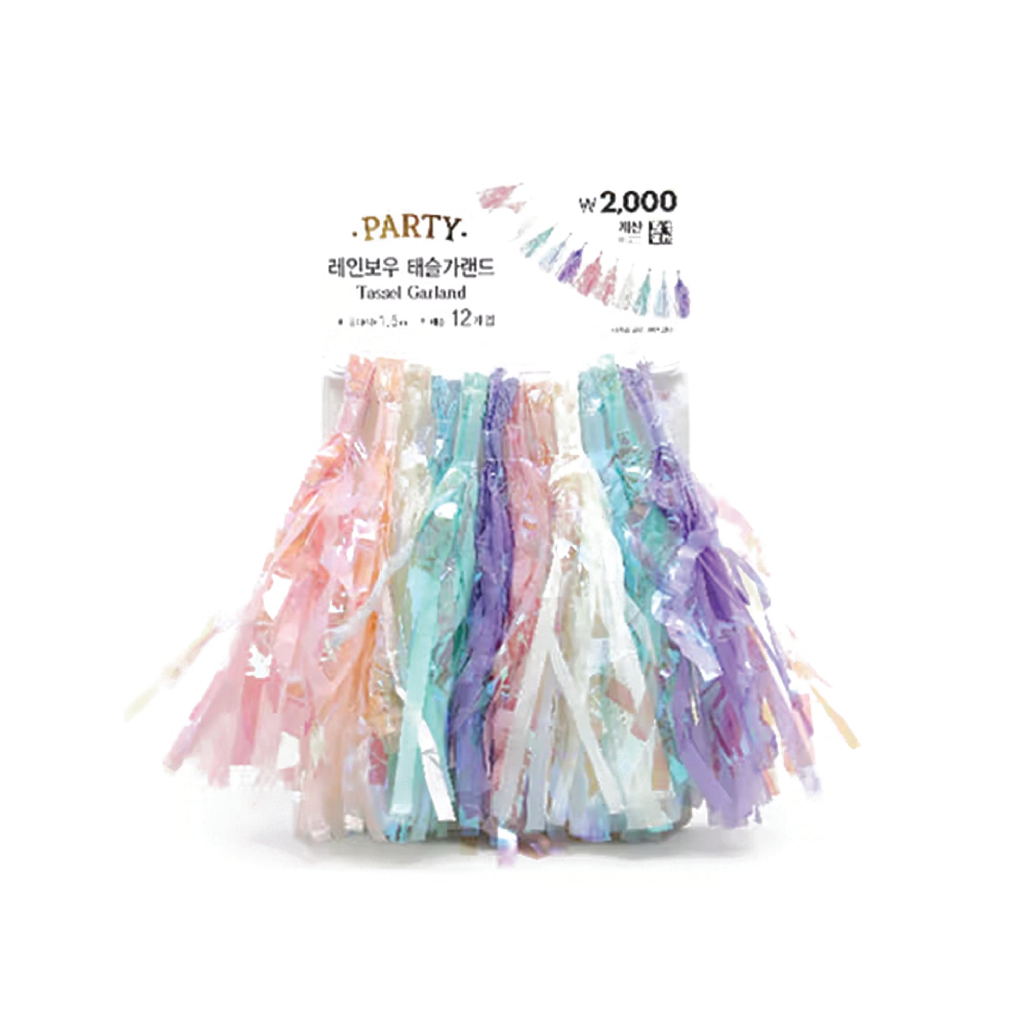 Rainbow Tassel Garland