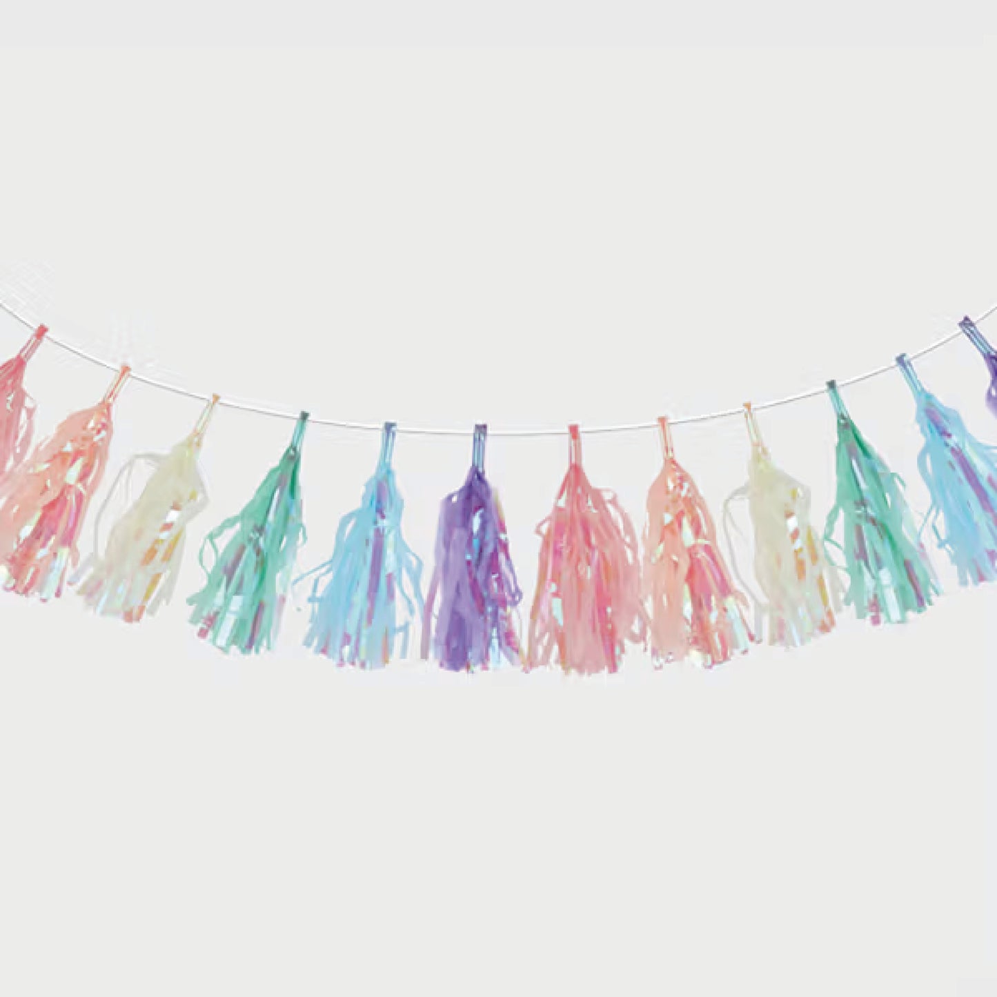 Rainbow Tassel Garland