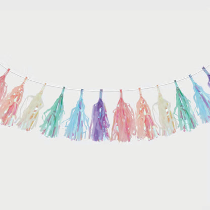 Rainbow Tassel Garland