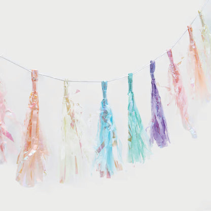 Rainbow Tassel Garland